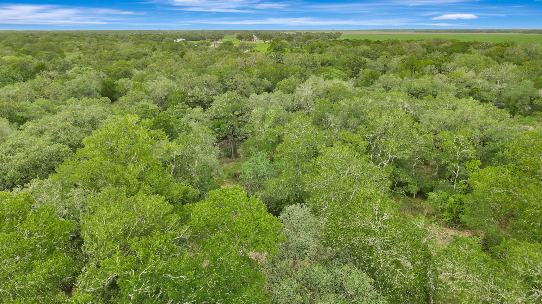 4600 Fm 1862 Road Palacios, TX 77465 - Photo 29 of 43