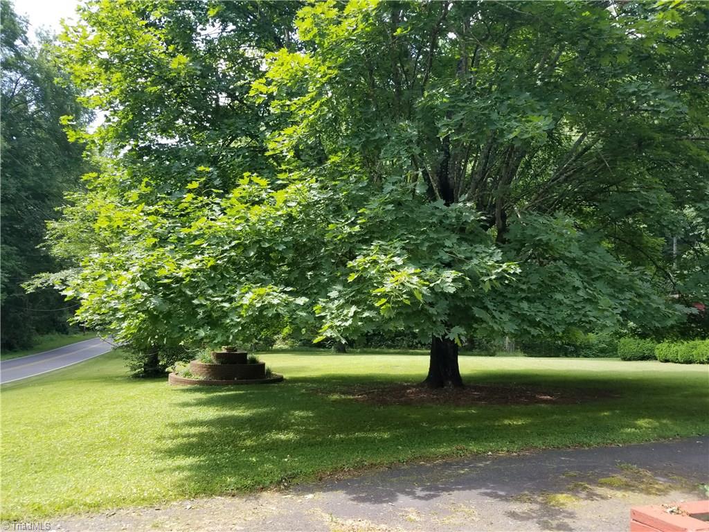2071 Springs Road Mount Airy, NC 27030 - Photo 14 of 28 Gallery Image 14