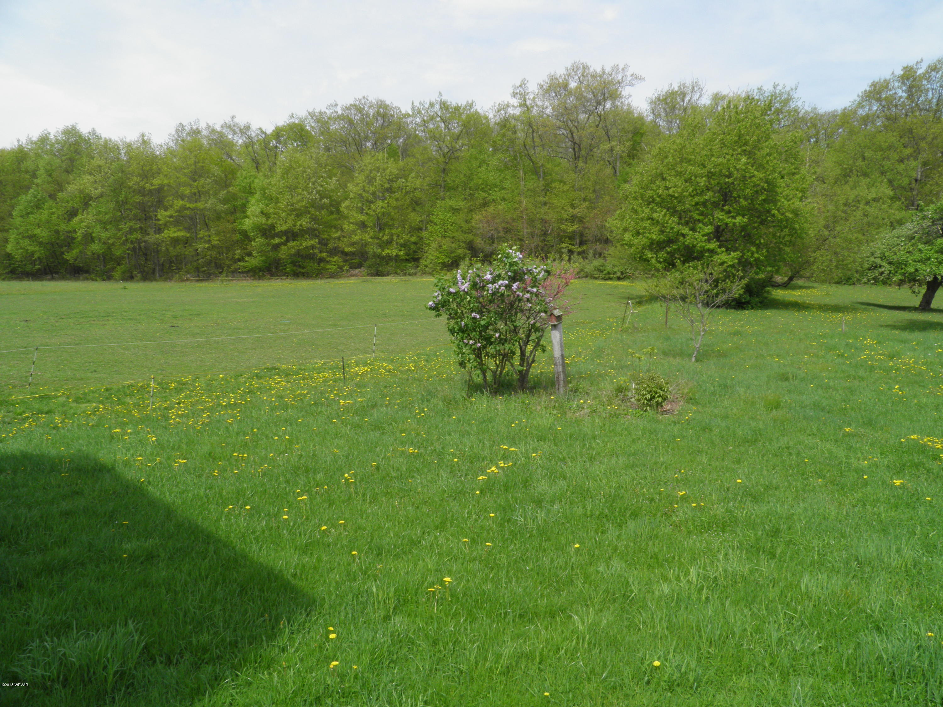 1061 Pine-Loganton Road Loganton, PA 17747 - Photo 30 of 32 P5173243