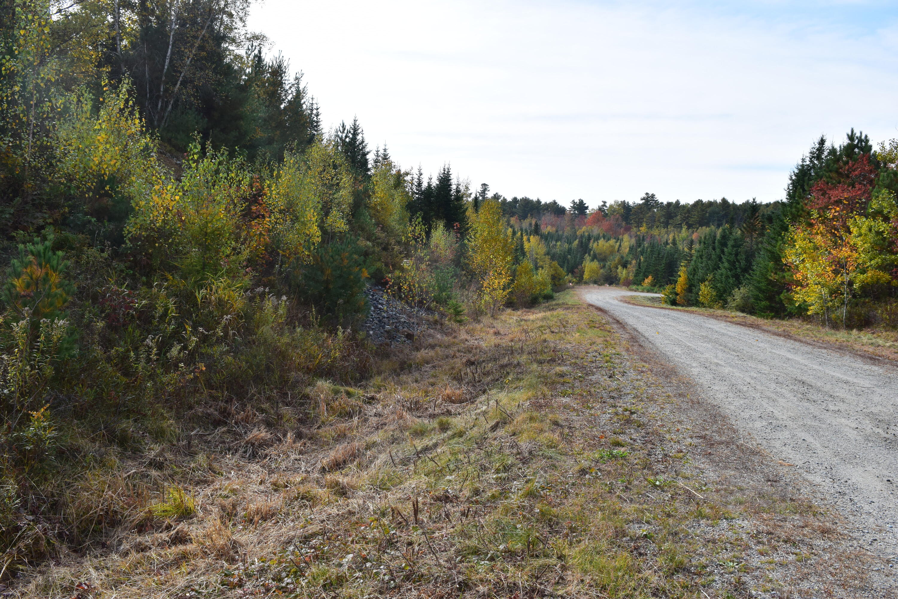 Lot 11 Surry Ridge Surry, ME 04684 - Photo 5 of 14 DSC_0530