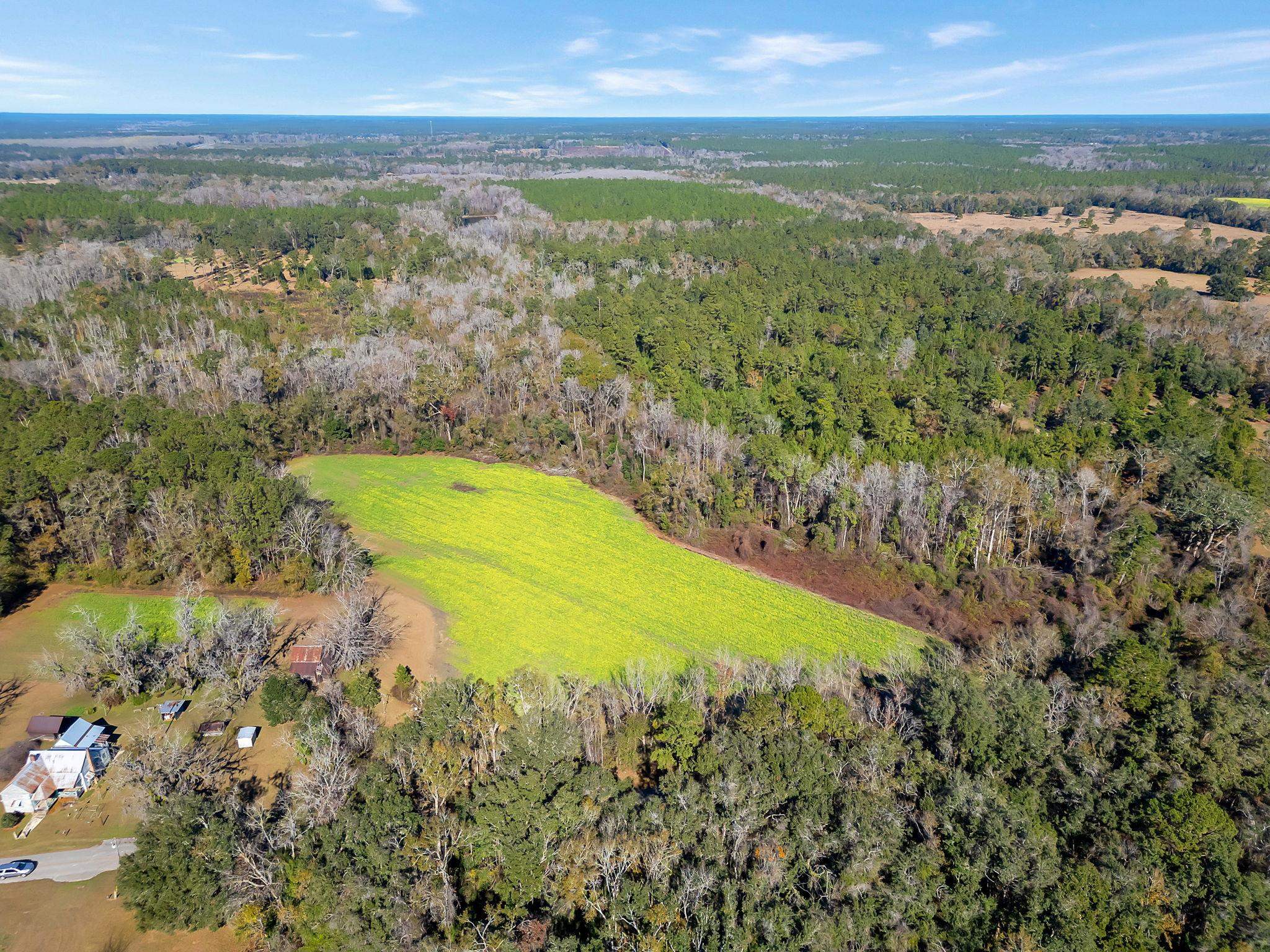 Xxx Barnes Road Monticello, FL 32344 - Photo 1 of 6 Gallery Image 1