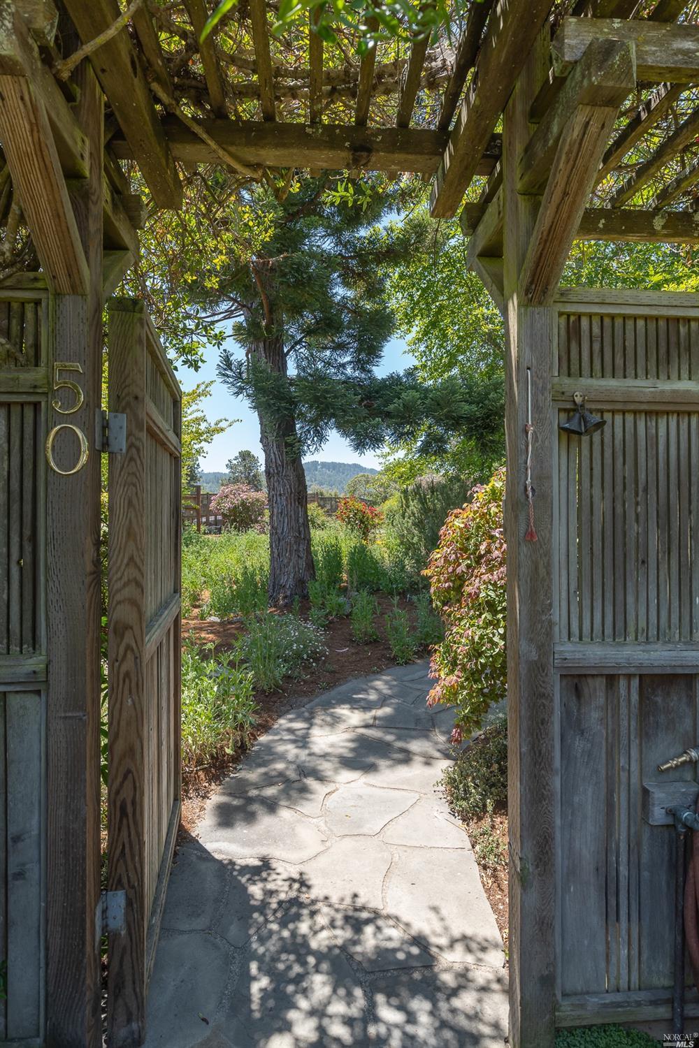 a view of a pathway with a tree