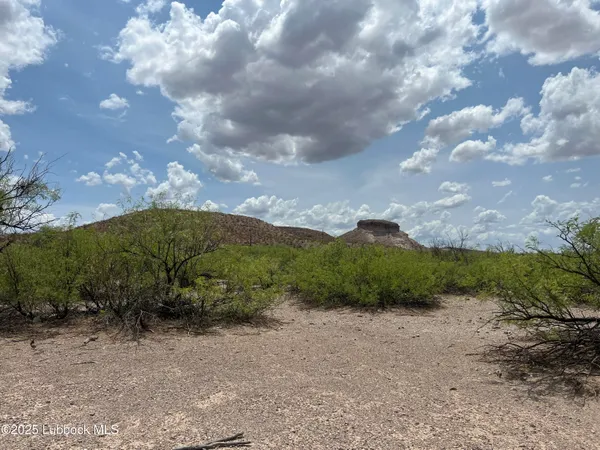 $5,600 | 11-24 Sec 65 Block 2 T&p Presidio County, Valentine, TX 79854