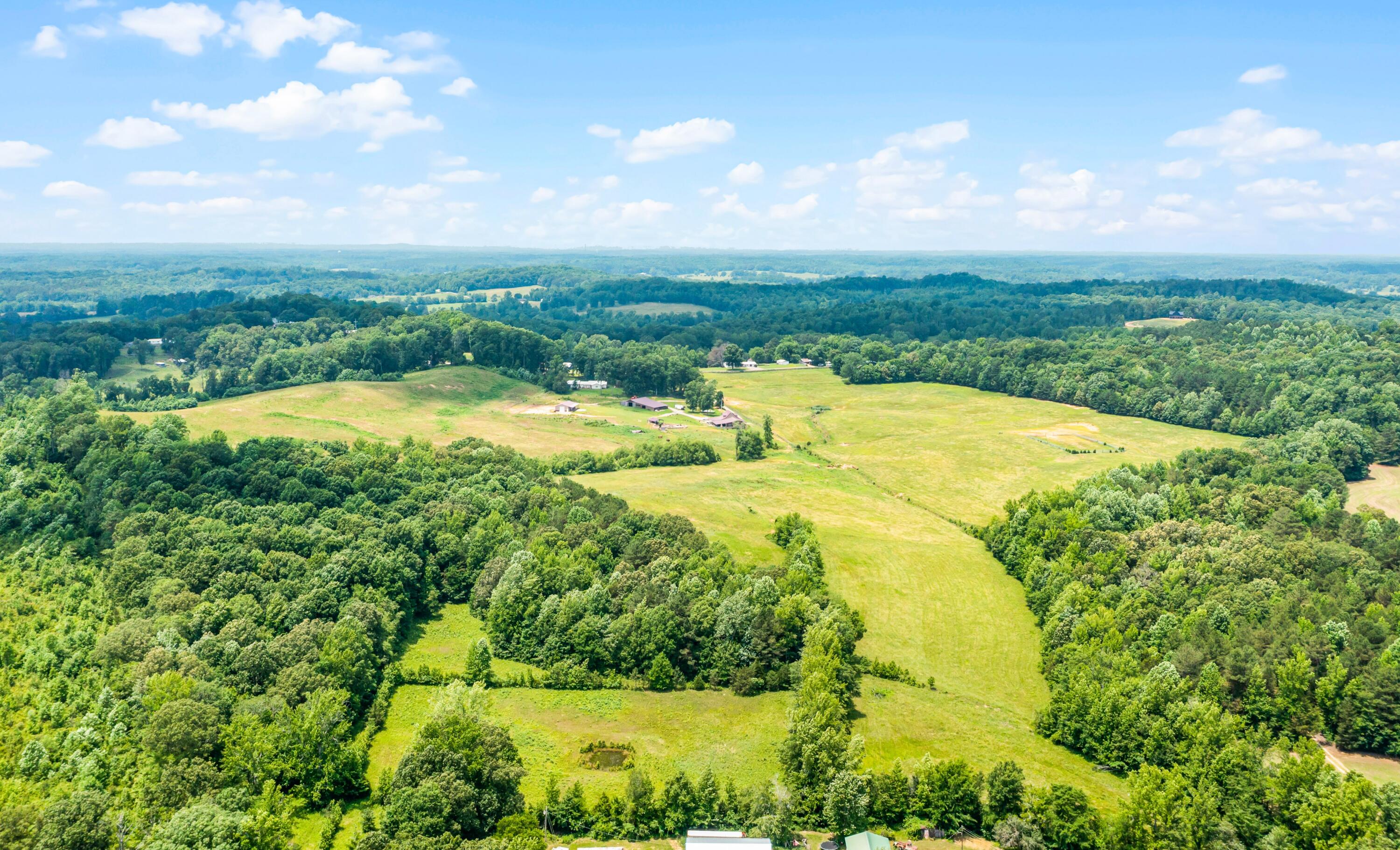 0 Tucker Road Bath Springs, TN 38311 - Photo 12 of 17 DJI_0938