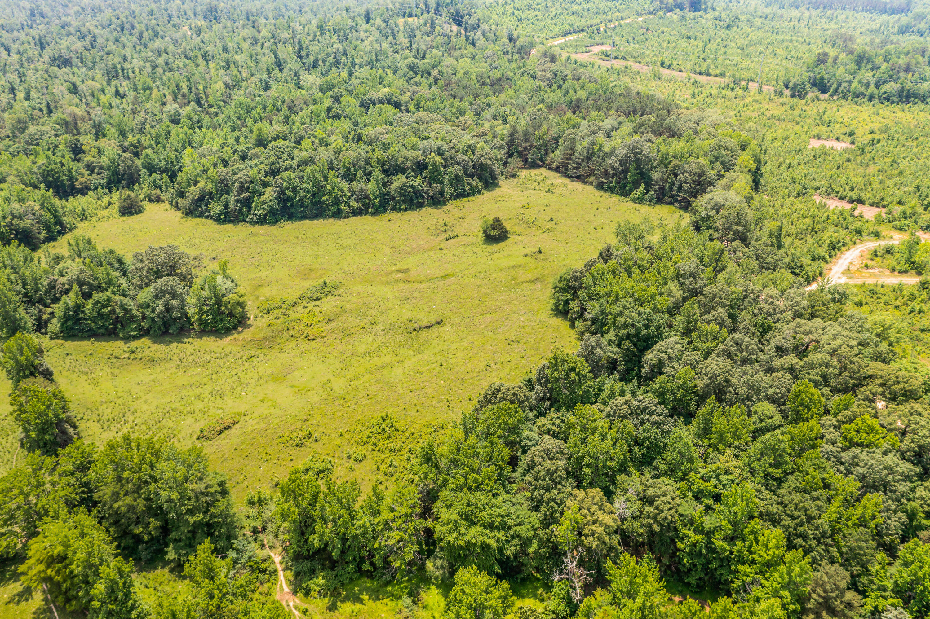 0 Tucker Road Bath Springs, TN 38311 - Photo 14 of 17 DJI_0022