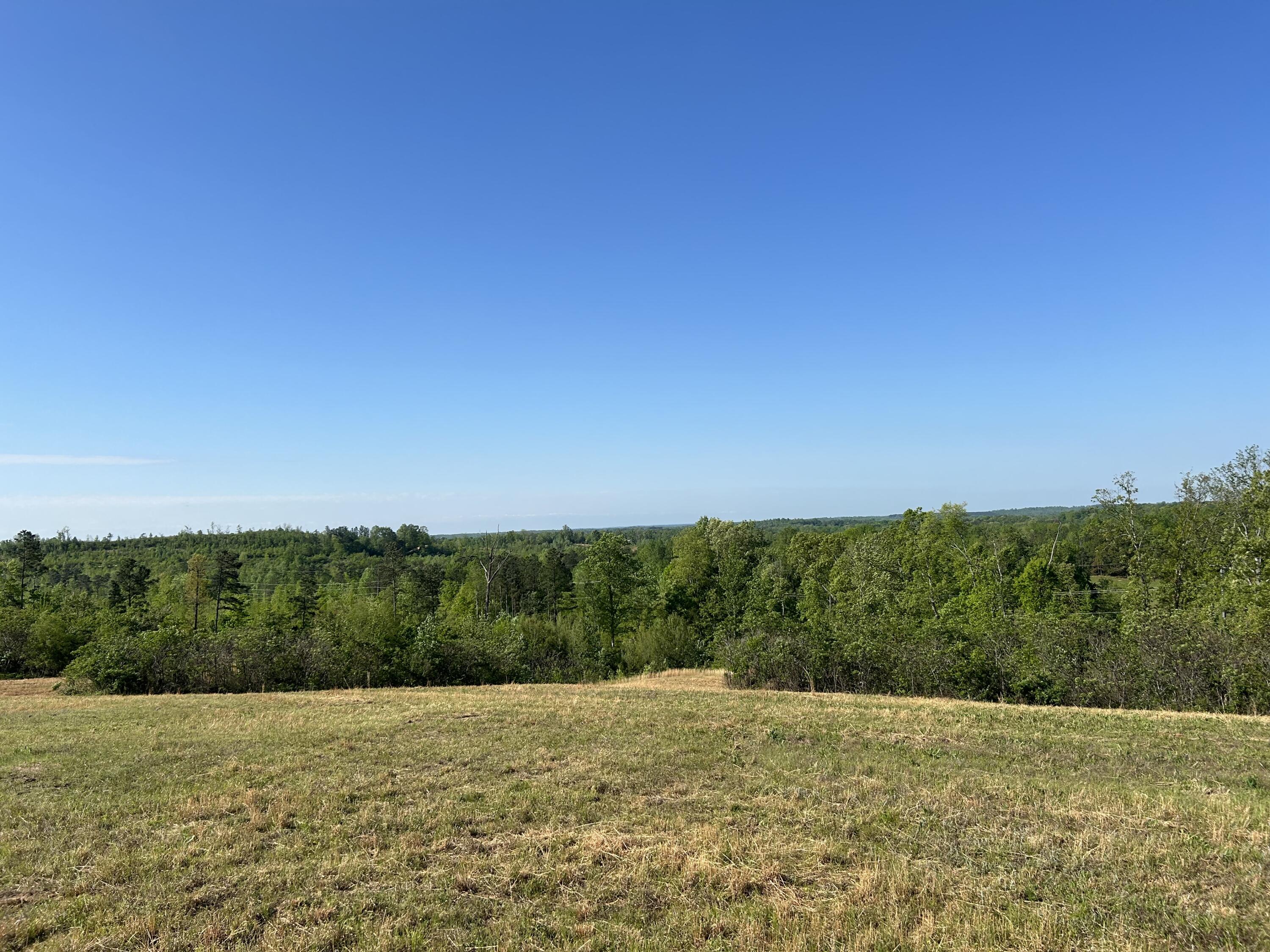0 Tucker Road Bath Springs, TN 38311 - Photo 5 of 17 IMG_7522