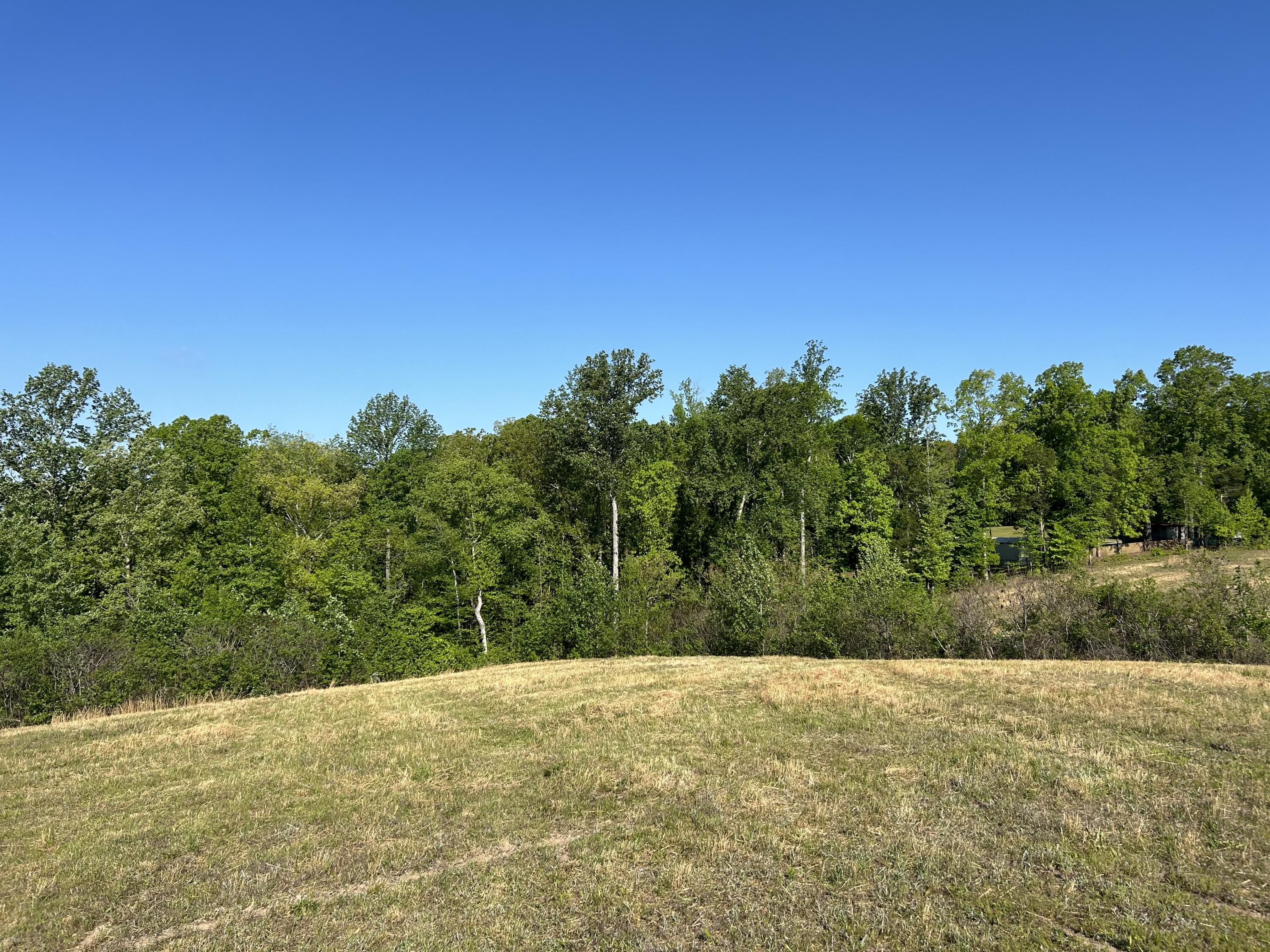 0 Tucker Road Bath Springs, TN 38311 - Photo 6 of 17 IMG_4990