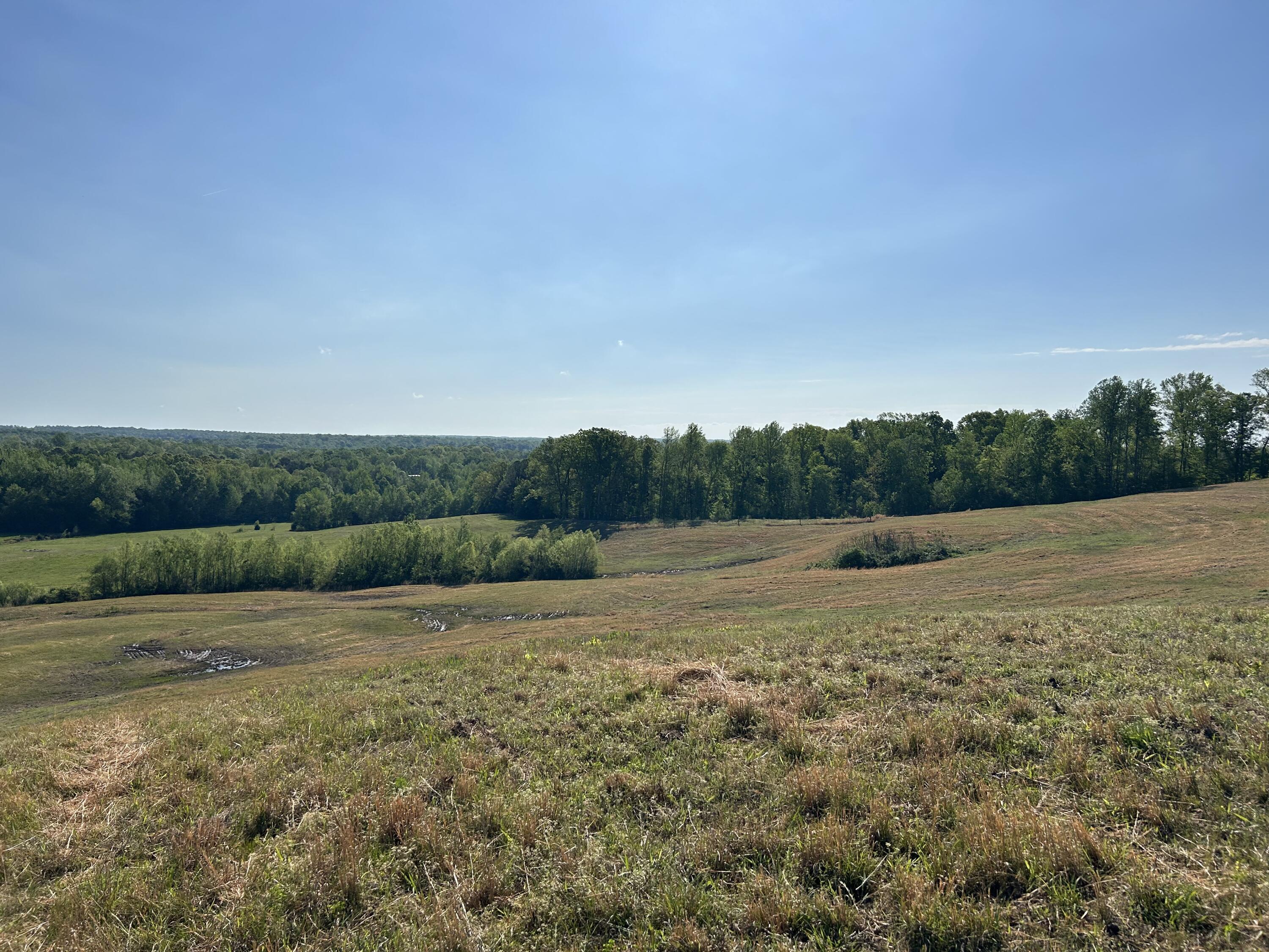 0 Tucker Road Bath Springs, TN 38311 - Photo 7 of 17 IMG_3585