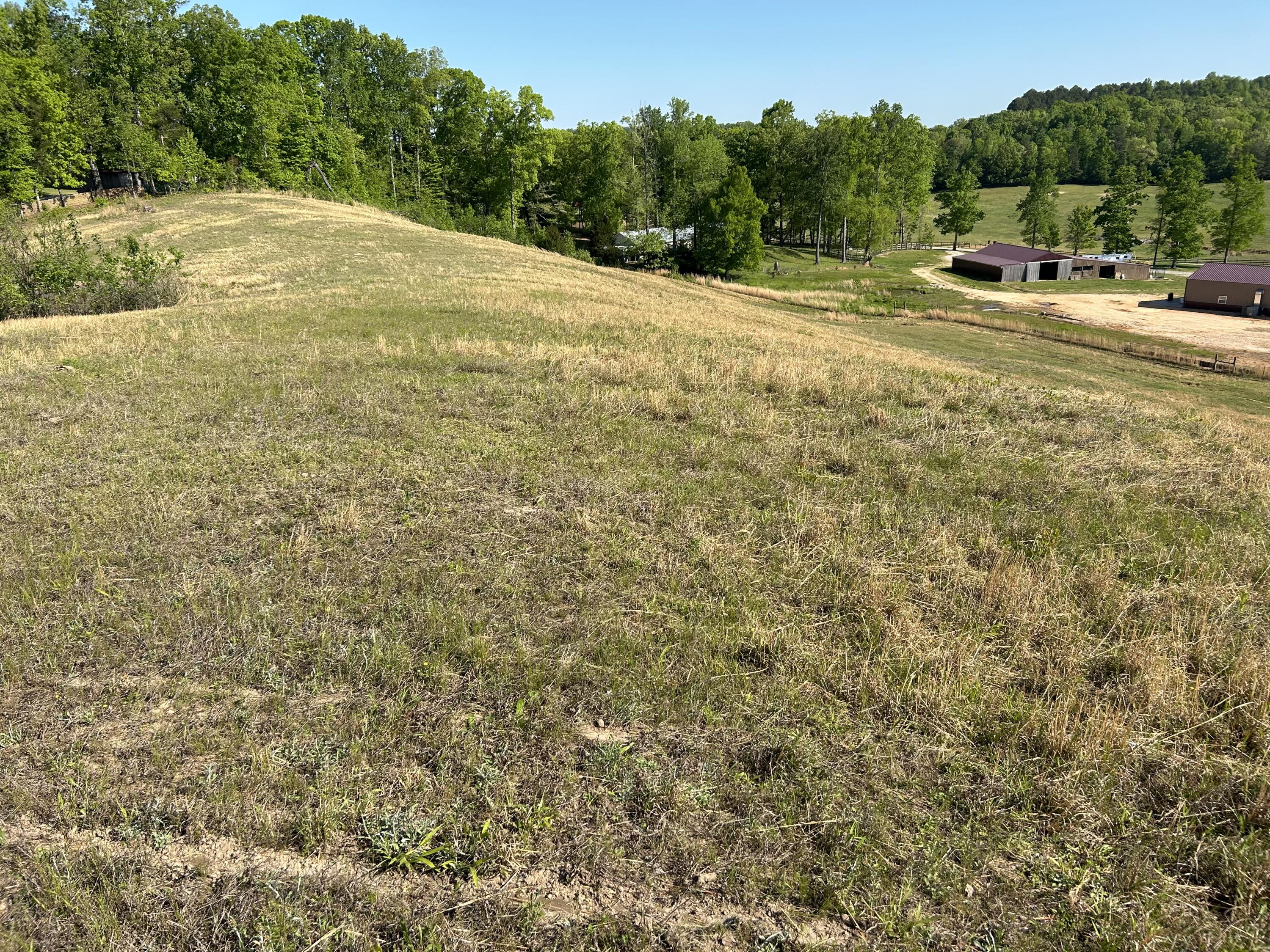 0 Tucker Road Bath Springs, TN 38311 - Photo 8 of 17 IMG_3021