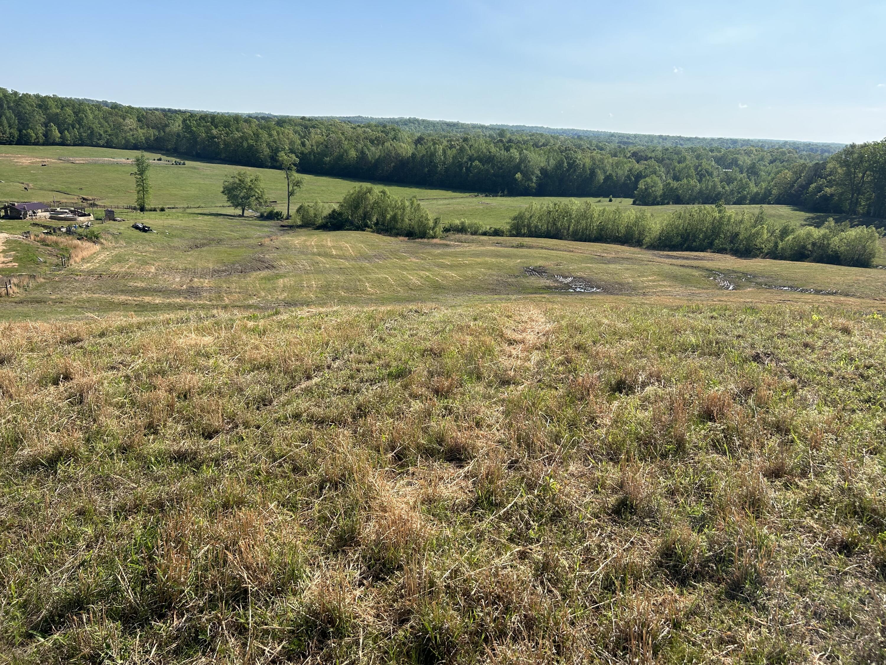 0 Tucker Road Bath Springs, TN 38311 - Photo 9 of 17 IMG_6245