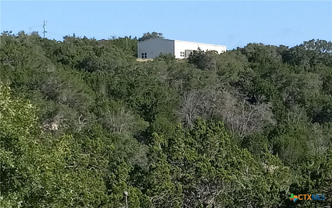 a view of a house with a street lush green forest