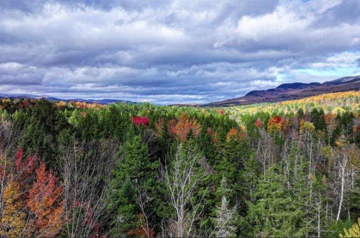 1021 Woods Road Warren, VT 05674 - Photo 19 of 24