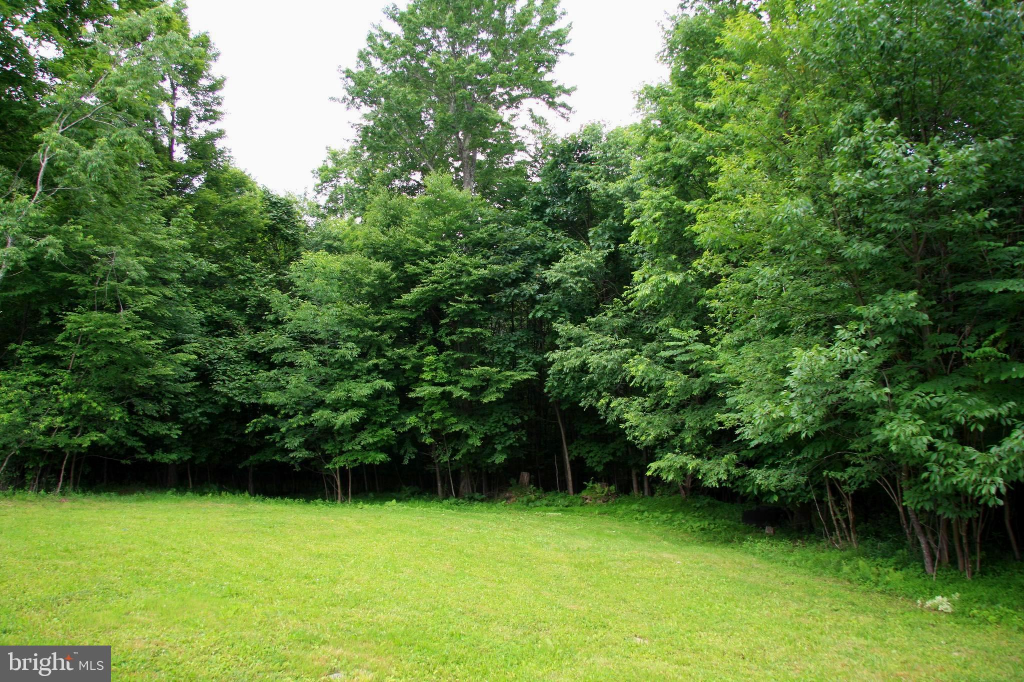 237 Chestnut Ridge Road Grantsville, MD 21536 - Photo 1 of 9 Gallery Image 1