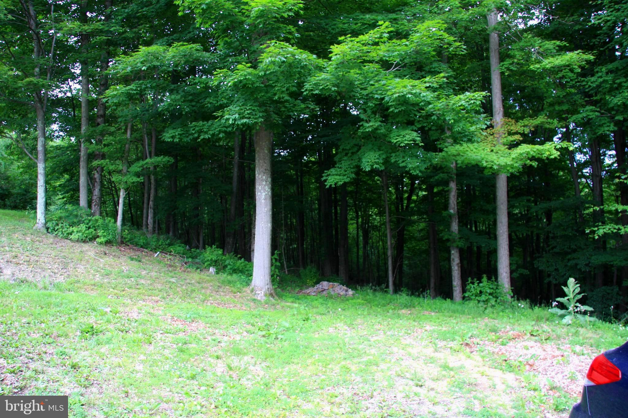 237 Chestnut Ridge Road Grantsville, MD 21536 - Photo 3 of 9 Gallery Image 3