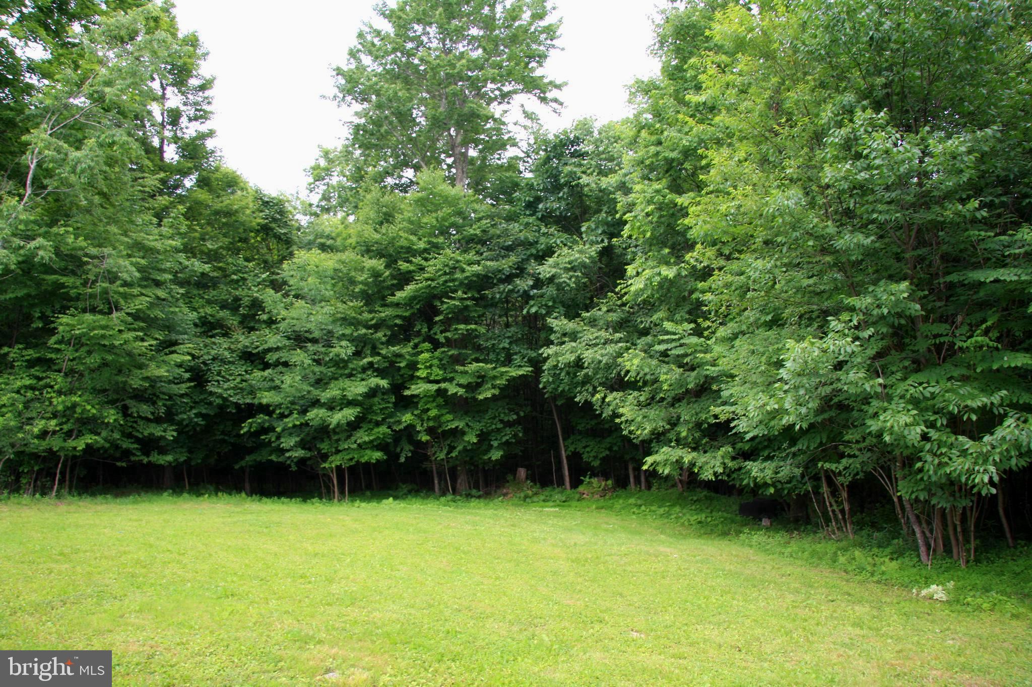 237 Chestnut Ridge Road Grantsville, MD 21536 - Photo 4 of 9 Gallery Image 4