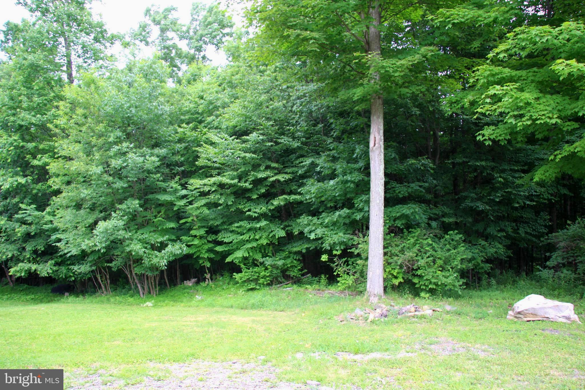 237 Chestnut Ridge Road Grantsville, MD 21536 - Photo 5 of 9 Gallery Image 5