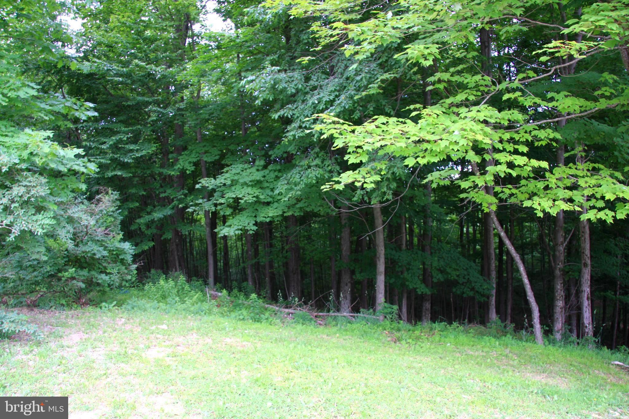 237 Chestnut Ridge Road Grantsville, MD 21536 - Photo 6 of 9 Gallery Image 6