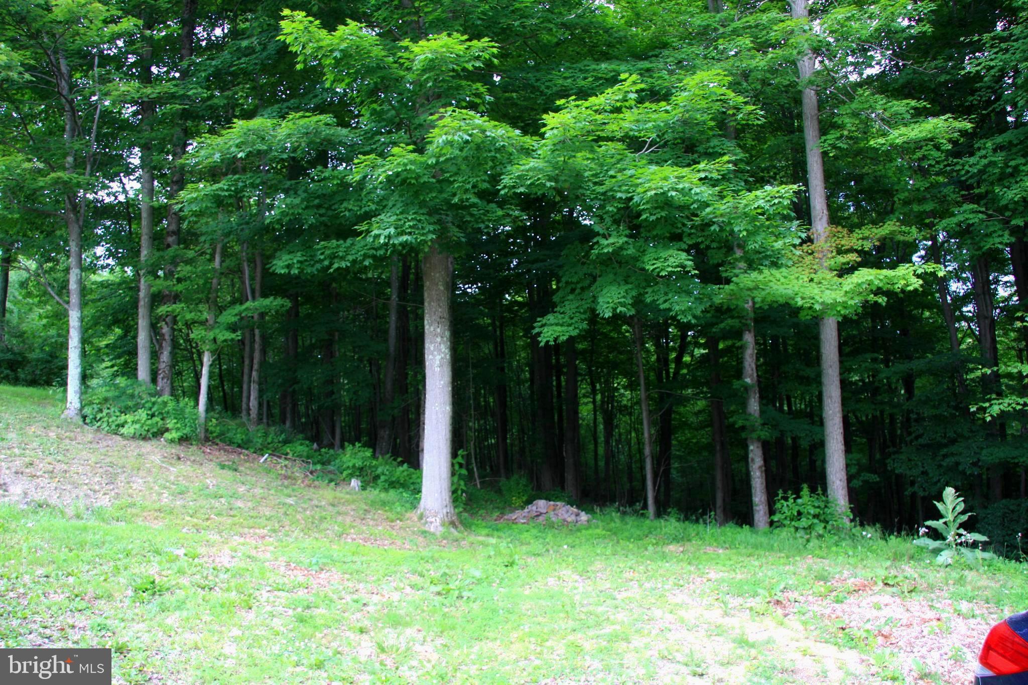 237 Chestnut Ridge Road Grantsville, MD 21536 - Photo 8 of 9 Gallery Image 8