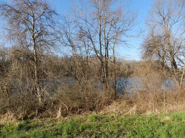 $79,000 | 520 Swan River Drive, Benton Harbor, MI 49022