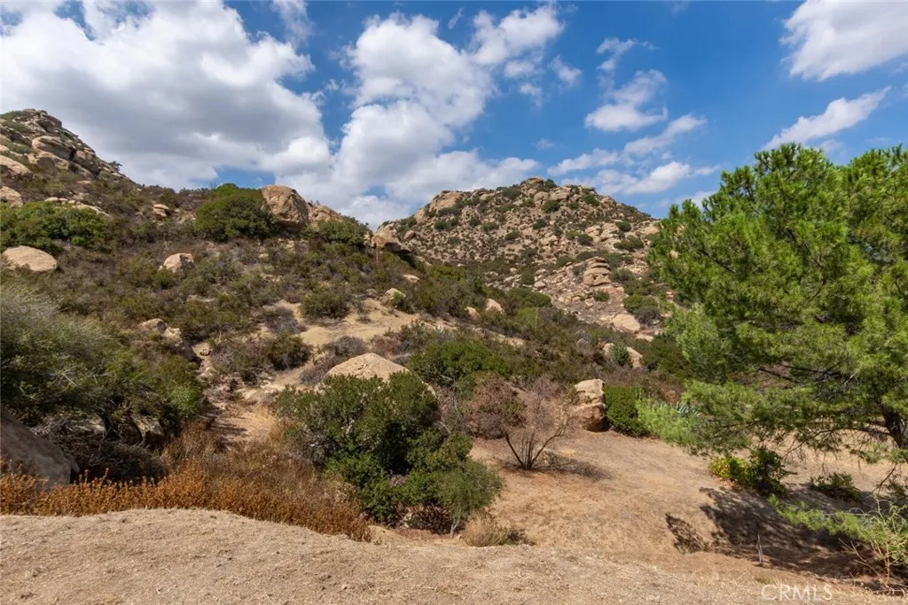 7815 Mesa Simi Valley Simi Valley, CA 93063 - Photo 15 of 25 a view of a bunch of trees
