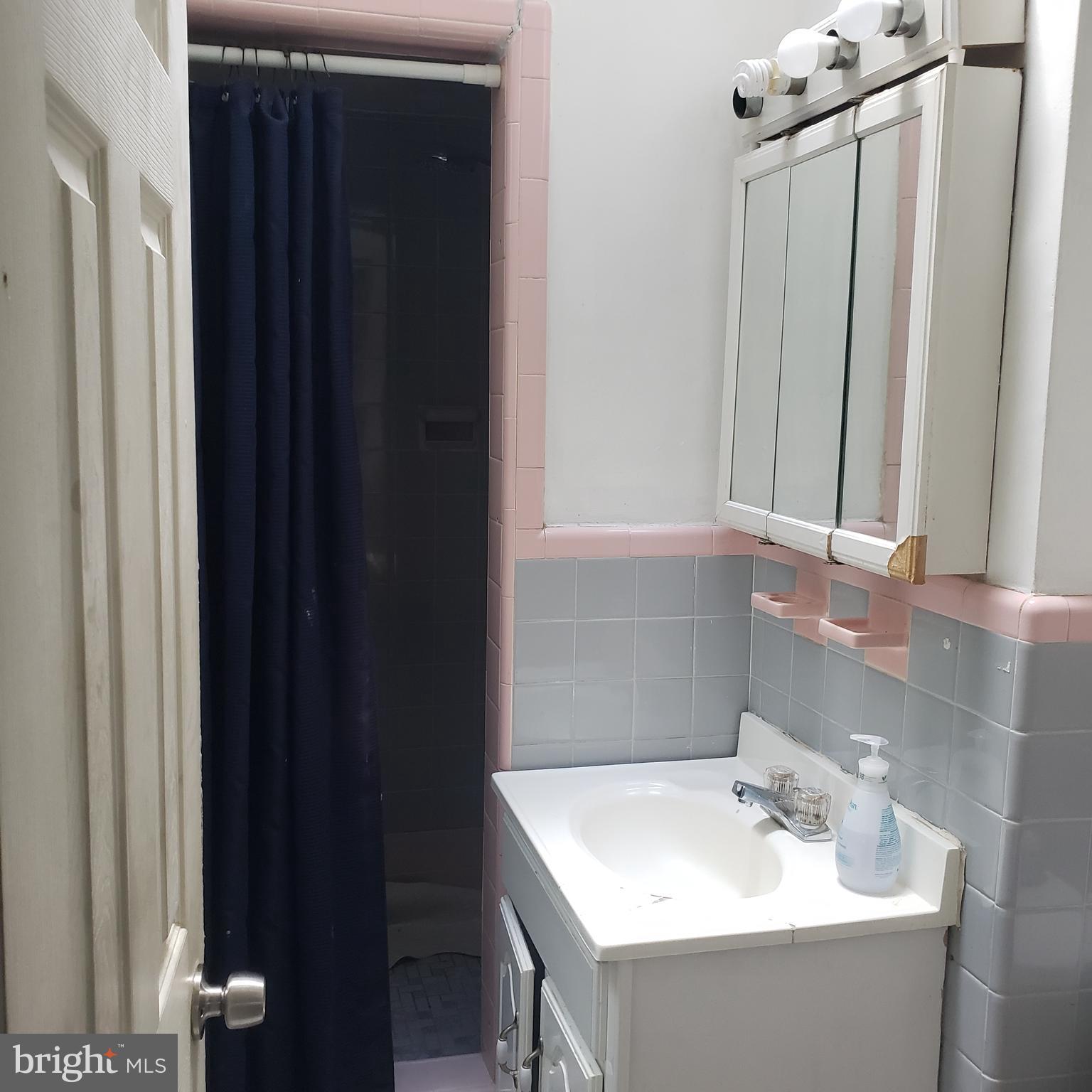 204 East Claremont Road Philadelphia, PA 19120 - Photo 10 of 21 Master Bathroom