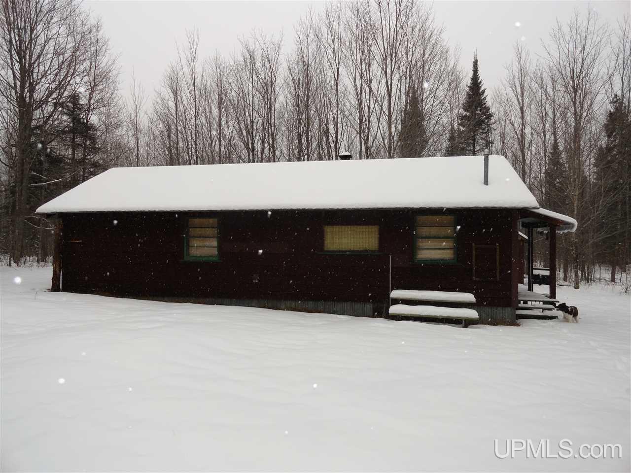160-acres Off Co Rd 557 Arnold, MI 49819 - Photo 6 of 22