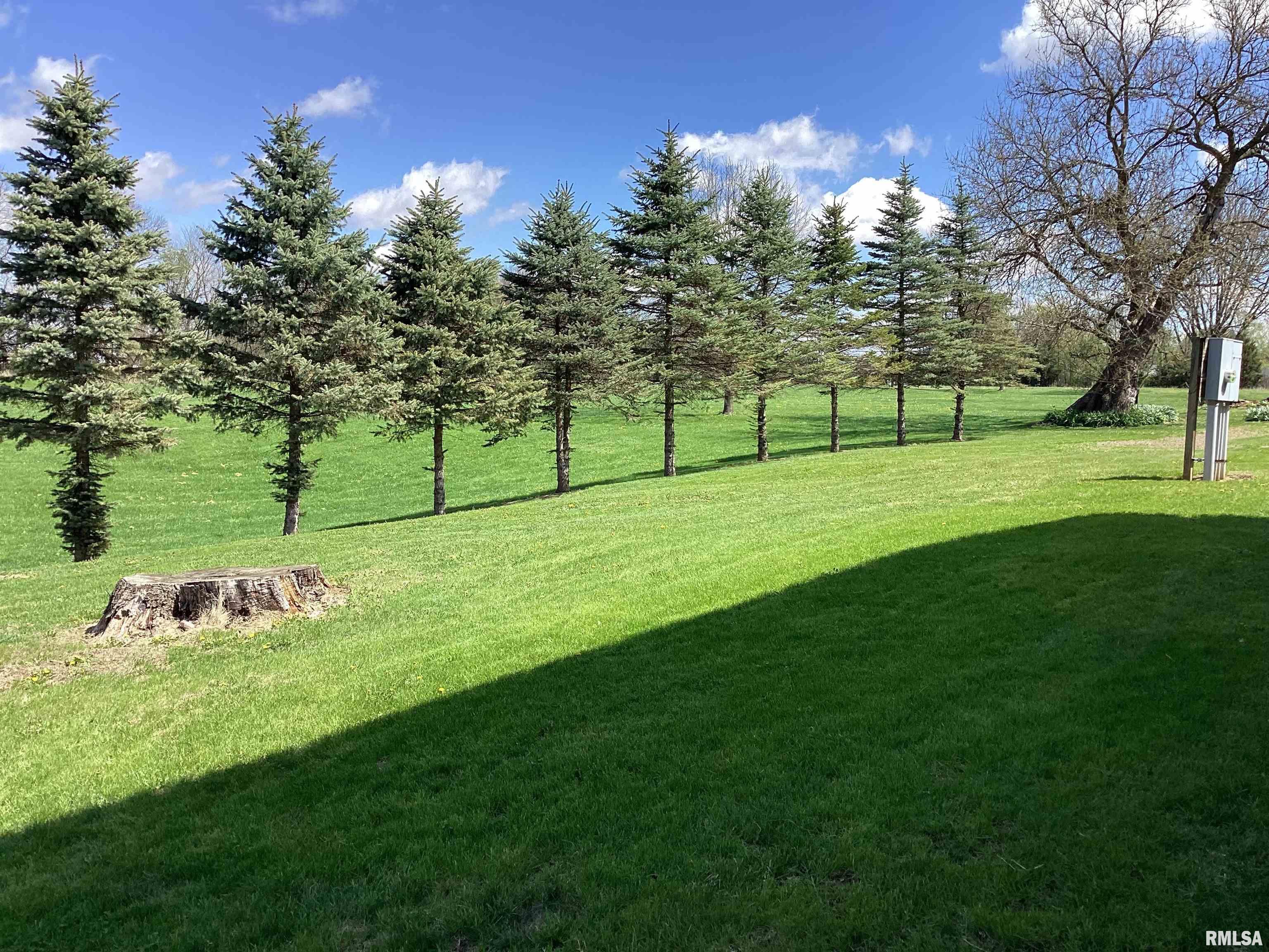 535 West Fulton Street Farmington, IL 61531 - Photo 13 of 83