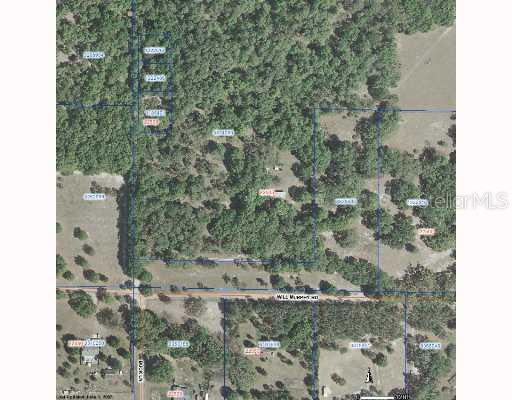 Will Murphey Road Umatilla, FL 32784 - Photo 1 of 1 Exterior Front