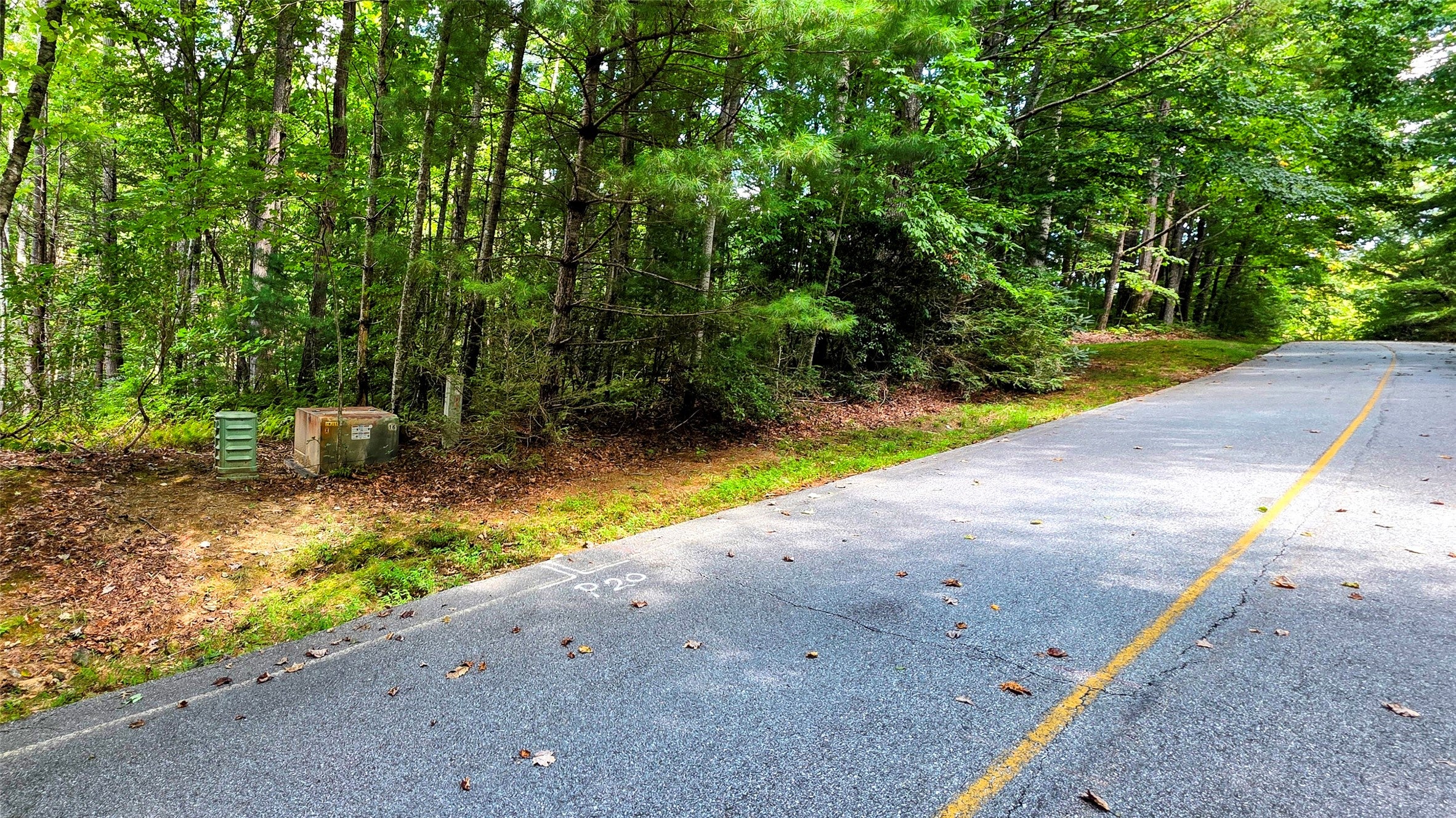 Lot 58 Narrows Road Sapphire, NC 28774 - Photo 1 of 3 Gallery Image 1