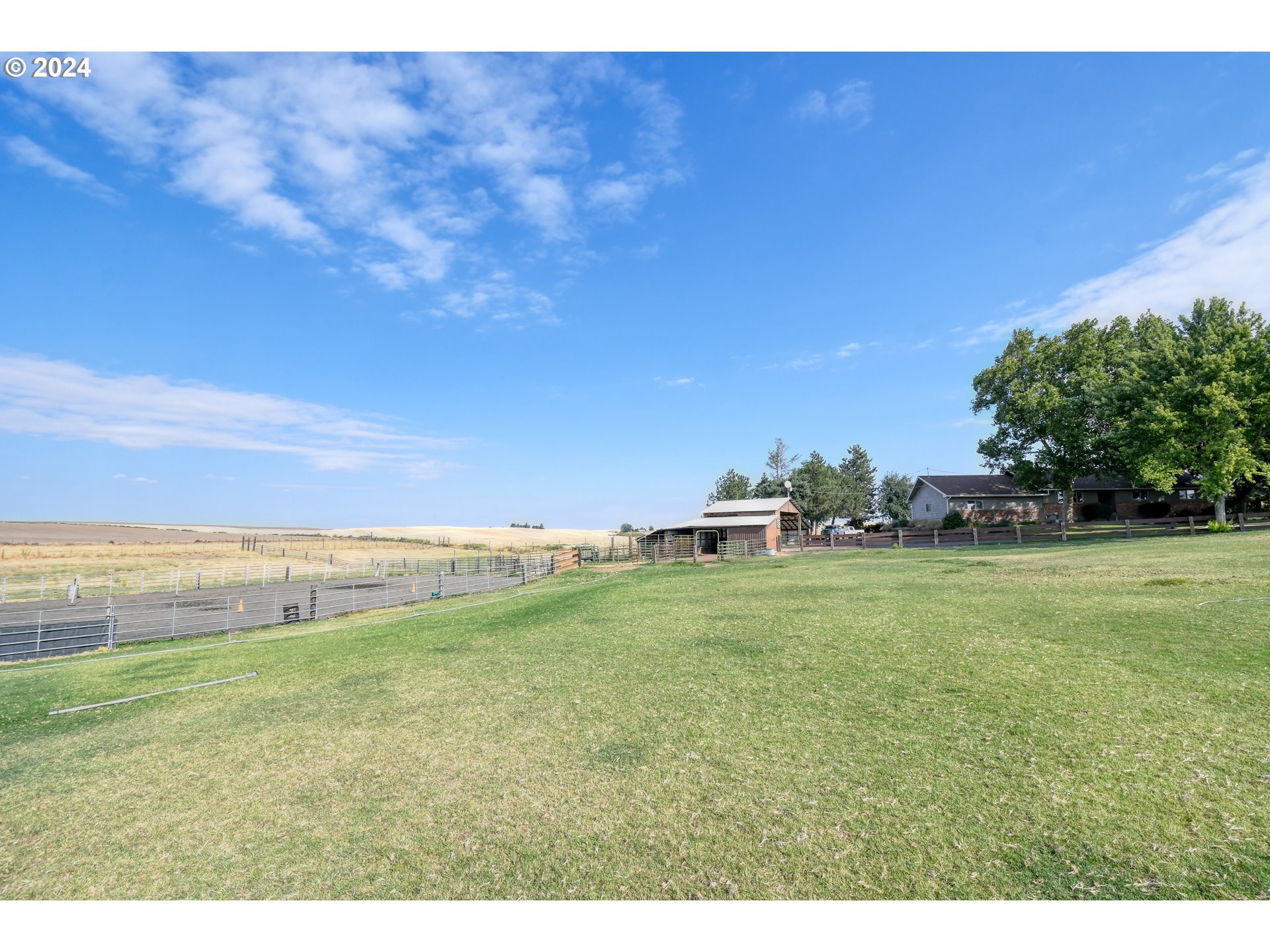 75468 McCormmach Road Pendleton, OR 97801 - Photo 44 of 48 a view of a field with an trees