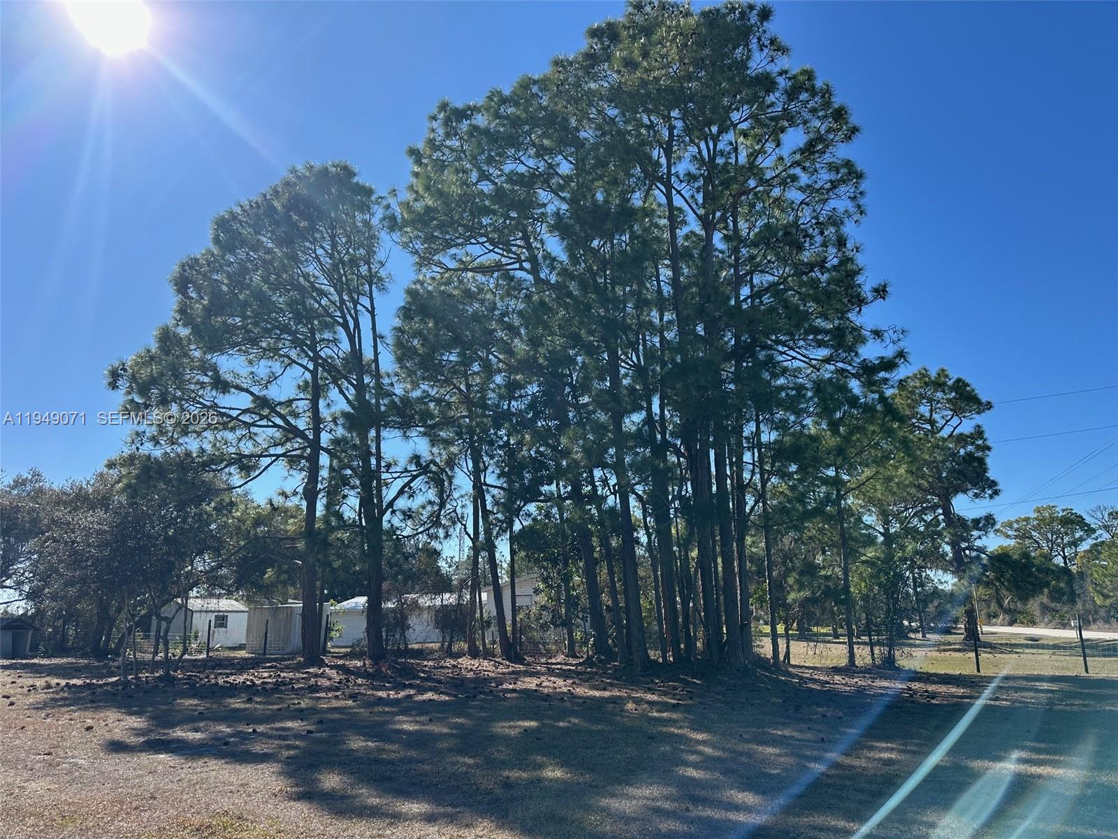 3709 Grand Concourse Sebring, FL 33875 - Photo 74 of 74