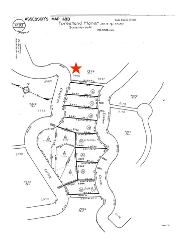 a bathroom with a shower and a picture on the wall