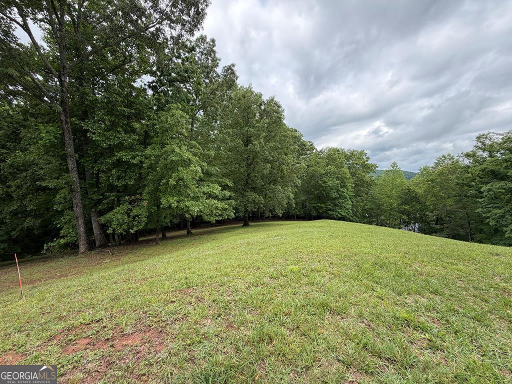 0 Drake Ridge Lane Hayesville, NC 28904 - Photo 6 of 6 a view of outdoor space and yard