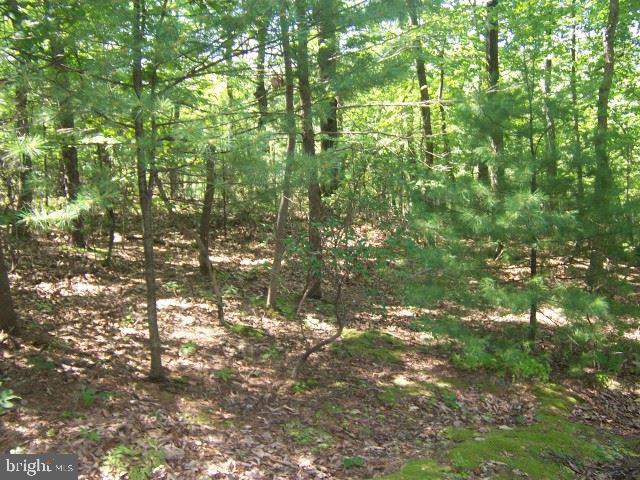434 New Ridge Road Millerstown, PA 17062 - Photo 24 of 25 Gallery Image 24