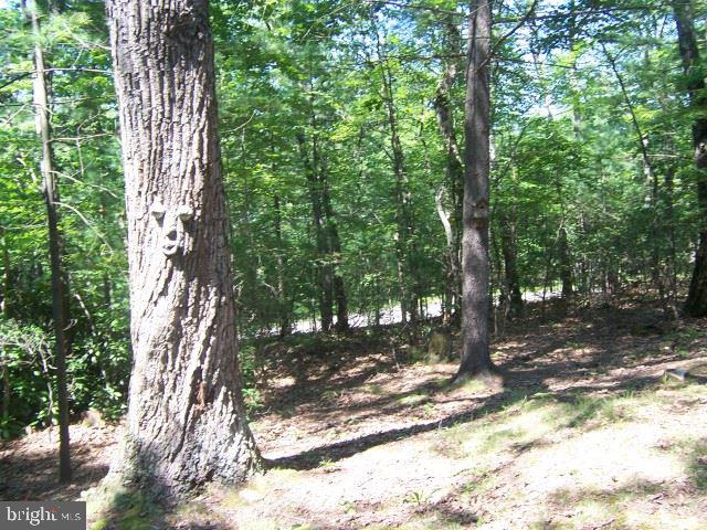 434 New Ridge Road Millerstown, PA 17062 - Photo 25 of 25 Gallery Image 25