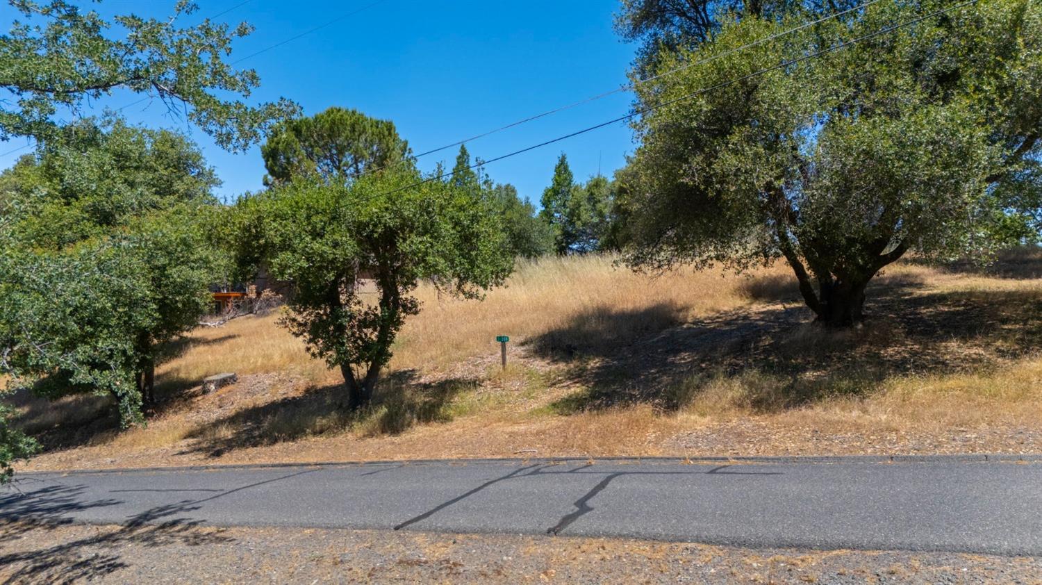 308 Longview Street Groveland, CA 95321 - Photo 6 of 16 a view of a yard of a house