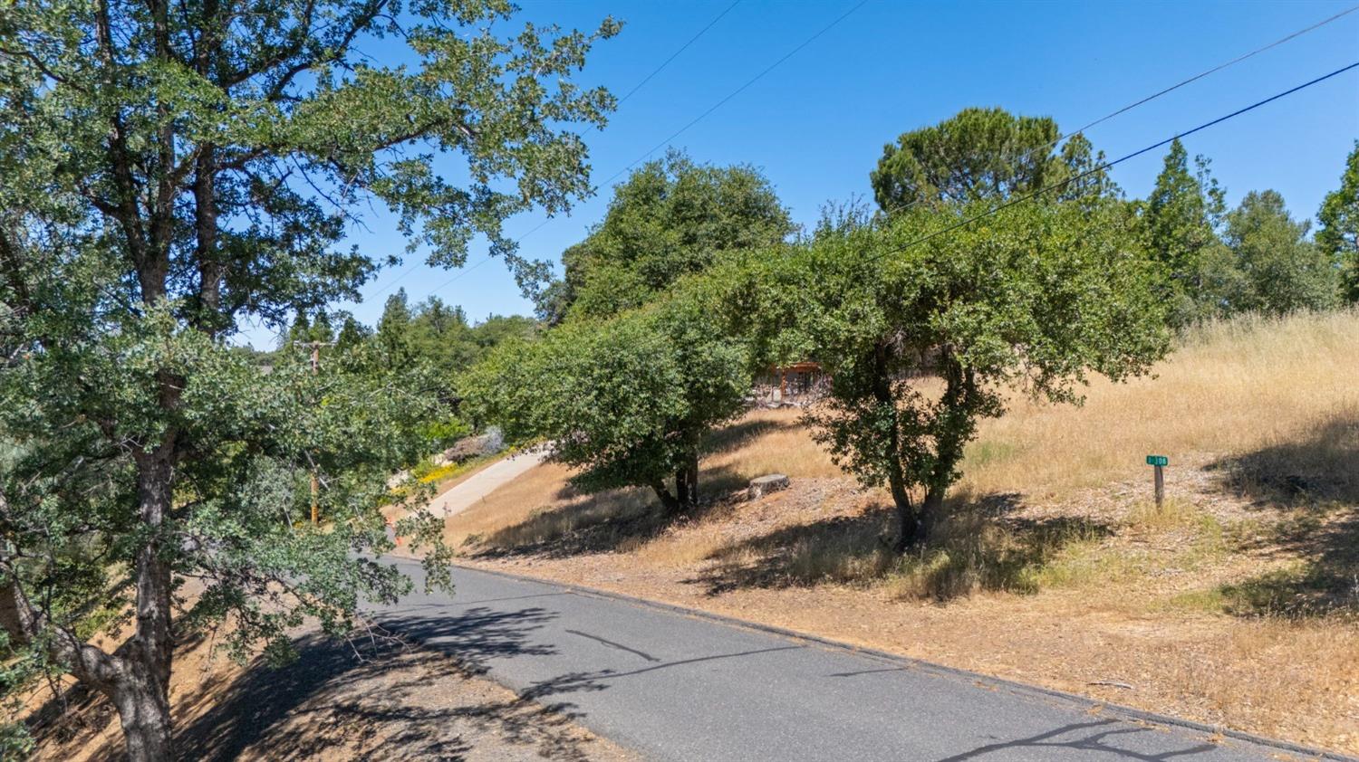 308 Longview Street Groveland, CA 95321 - Photo 7 of 16 a view of a yard with plants and trees