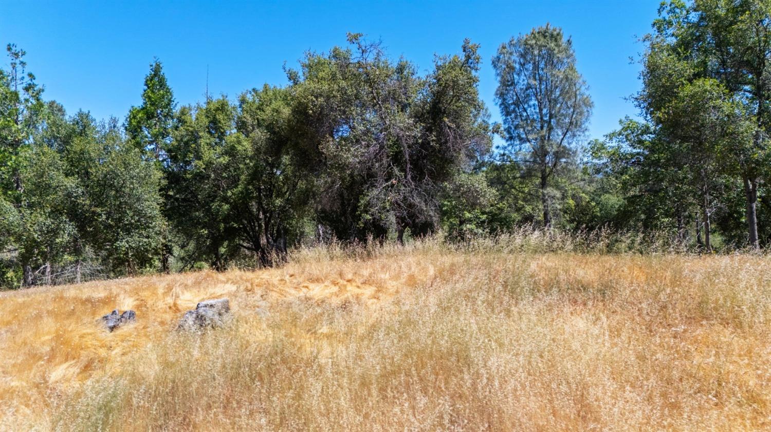 308 Longview Street Groveland, CA 95321 - Photo 8 of 16 a view of a yard