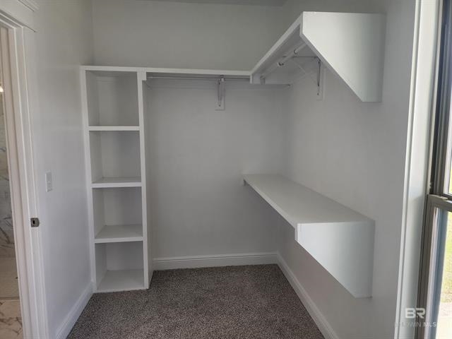 302 Morning Mist Way Fairhope, AL 36532 - Photo 19 of 33 Walk In Closets