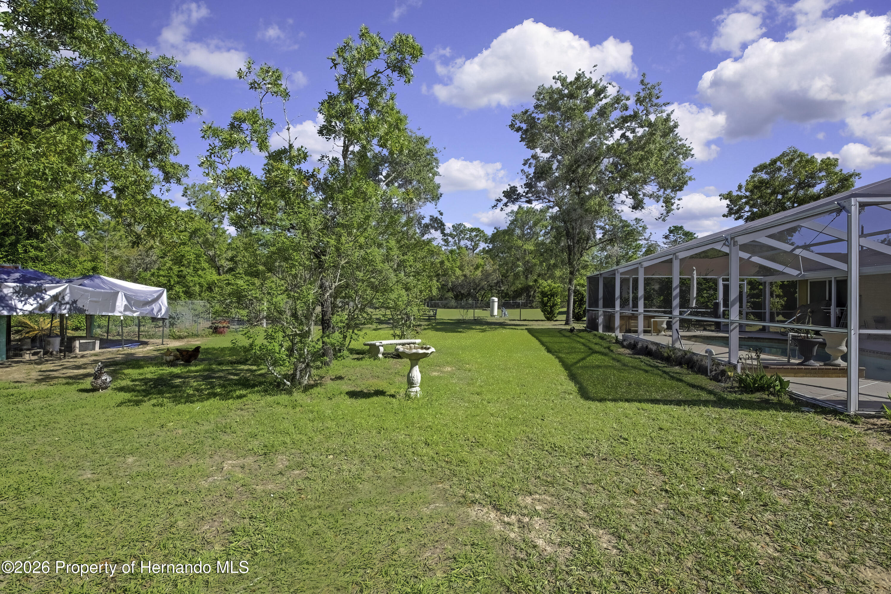 15157 Duck Hawk Road Weeki Wachee, FL 34614 - Photo 34 of 39