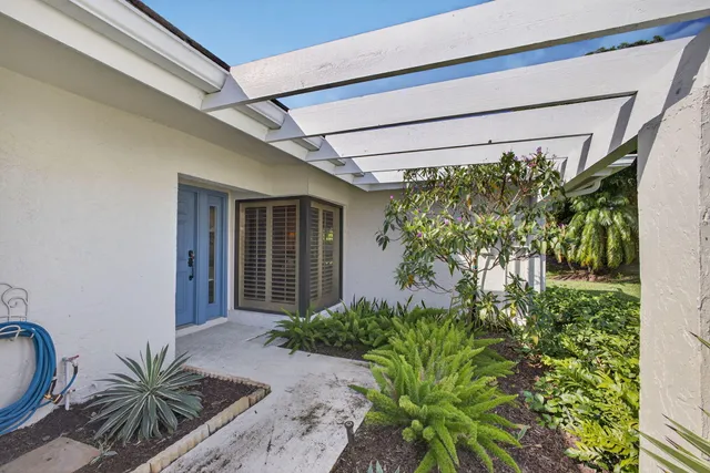 a plant is in front of a house
