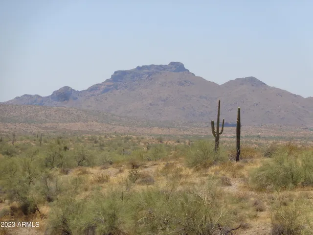 a view of a dry yard with mountains in the background