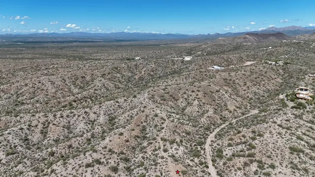 a view of a dry yard with trees in the background