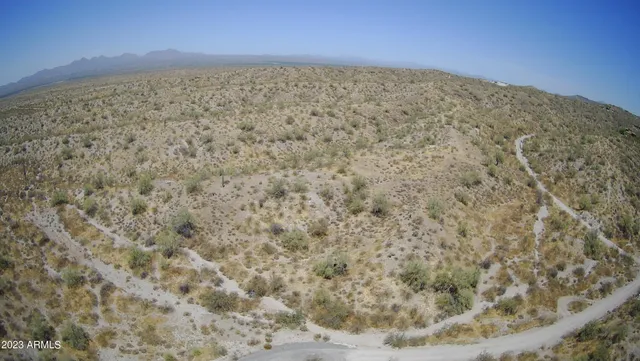a view of a dry yard