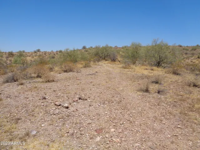 a close up of a plant