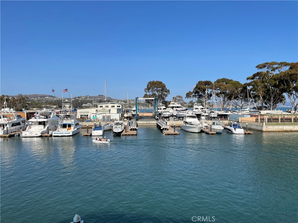 3446 Doheny Way Dana Point, CA 92629 - Photo 52 of 58