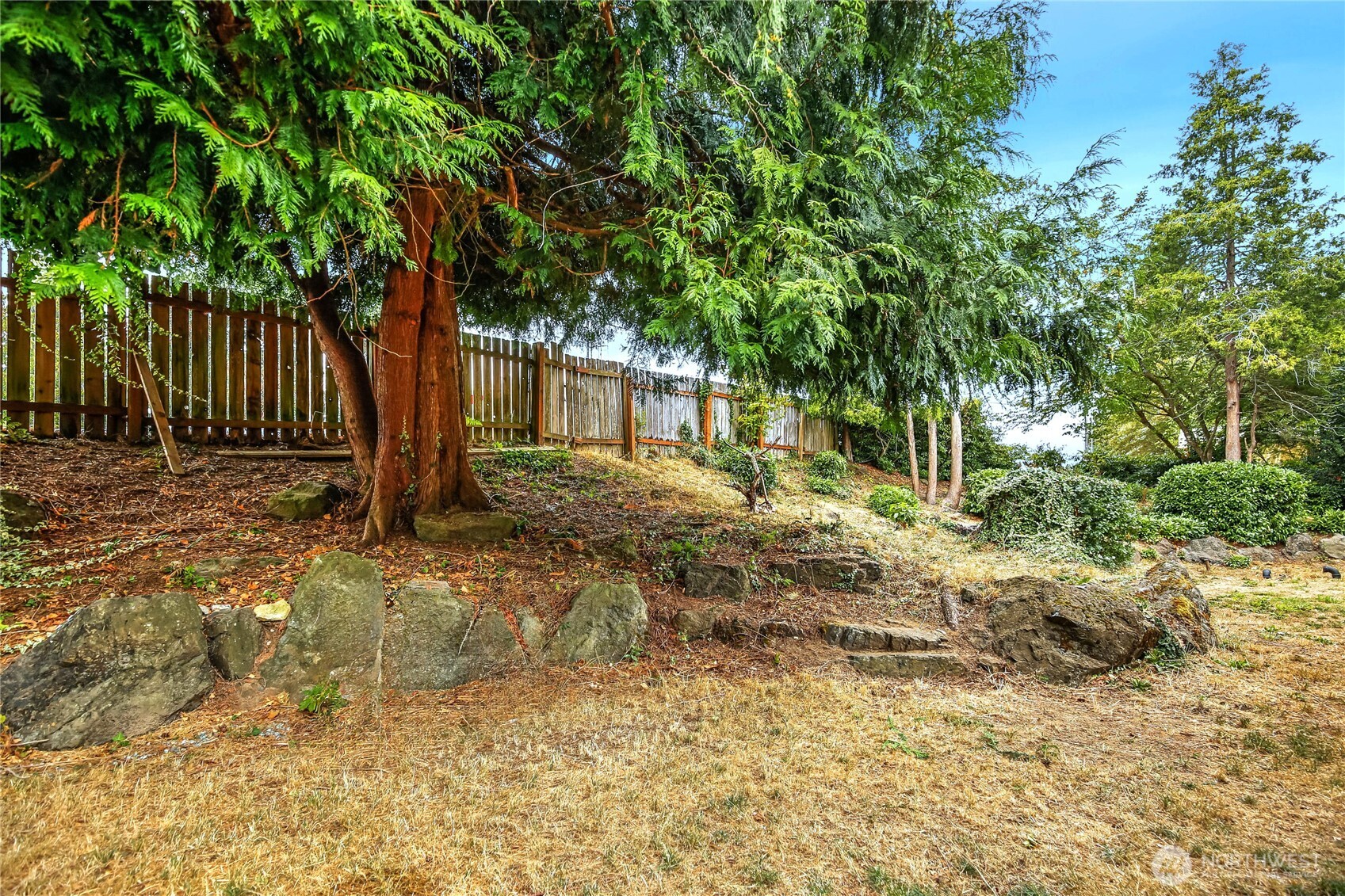 1901 Northeast 30th Street Bremerton, WA 98310 - Photo 17 of 31 a backyard of a house with a tree