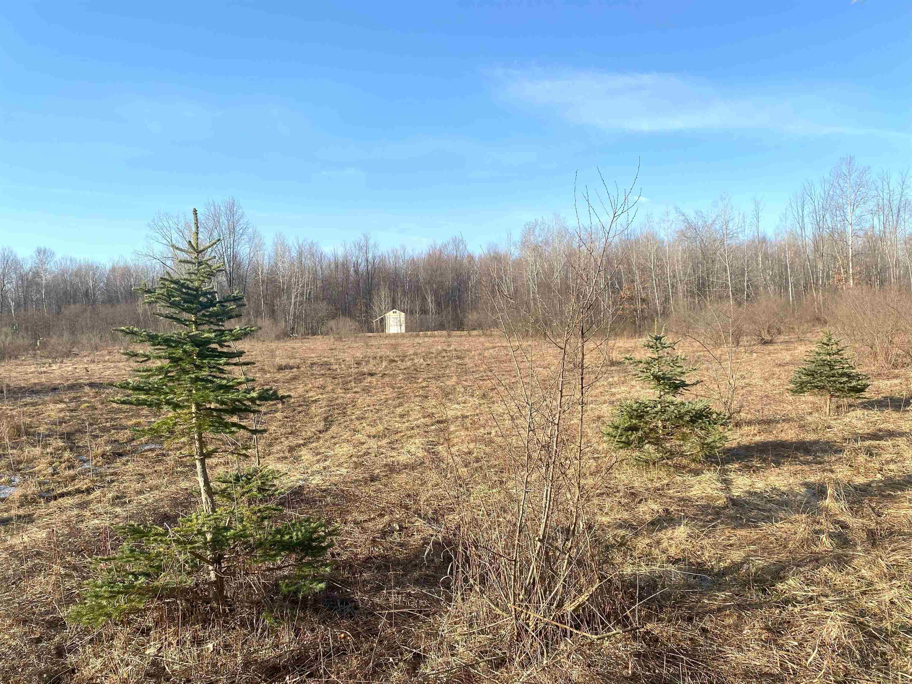 Tbd East Jordan Road Mount Pleasant, MI 48858 - Photo 11 of 15