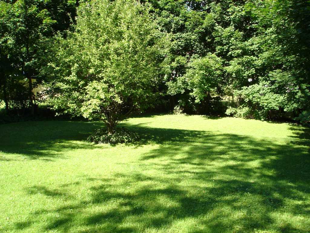 148 Ridgeway Avenue Pittsfield, MA 01201 - Photo 15 of 15 Backyard 2