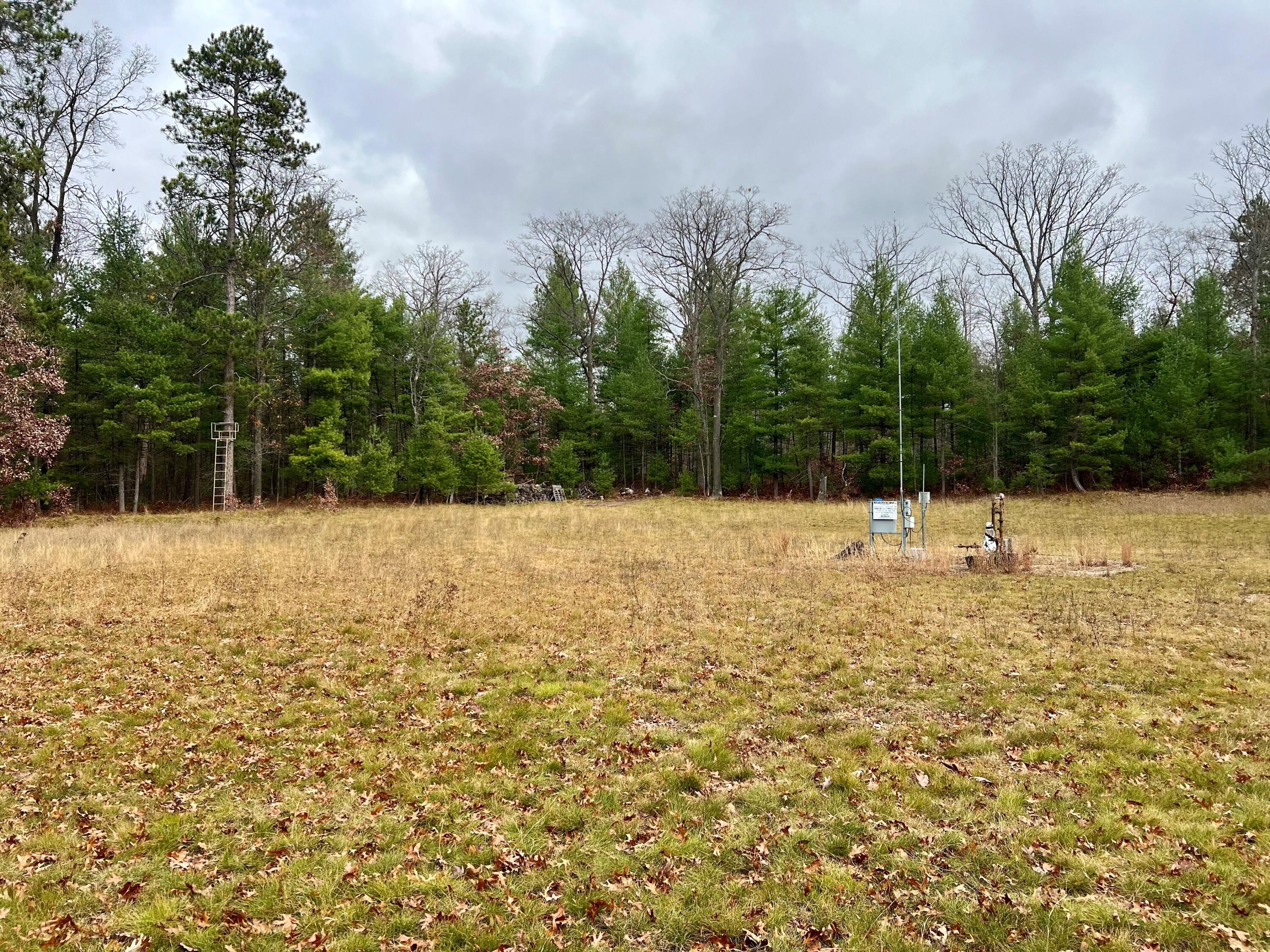 Grandview Road Lewiston, MI 49756 - Photo 24 of 30 Gallery Image 24